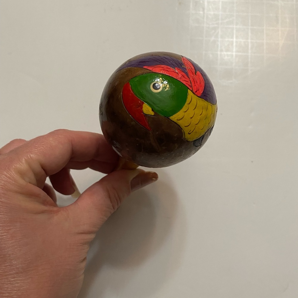 Hand Painted Coconut Rattle parrot